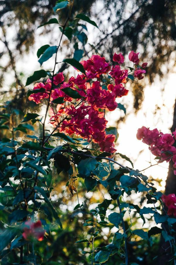 Villa Republic บันดาราเวลา ภายนอก รูปภาพ