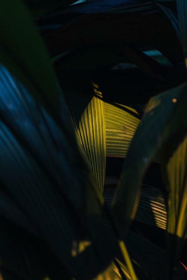 Villa Republic บันดาราเวลา ภายนอก รูปภาพ