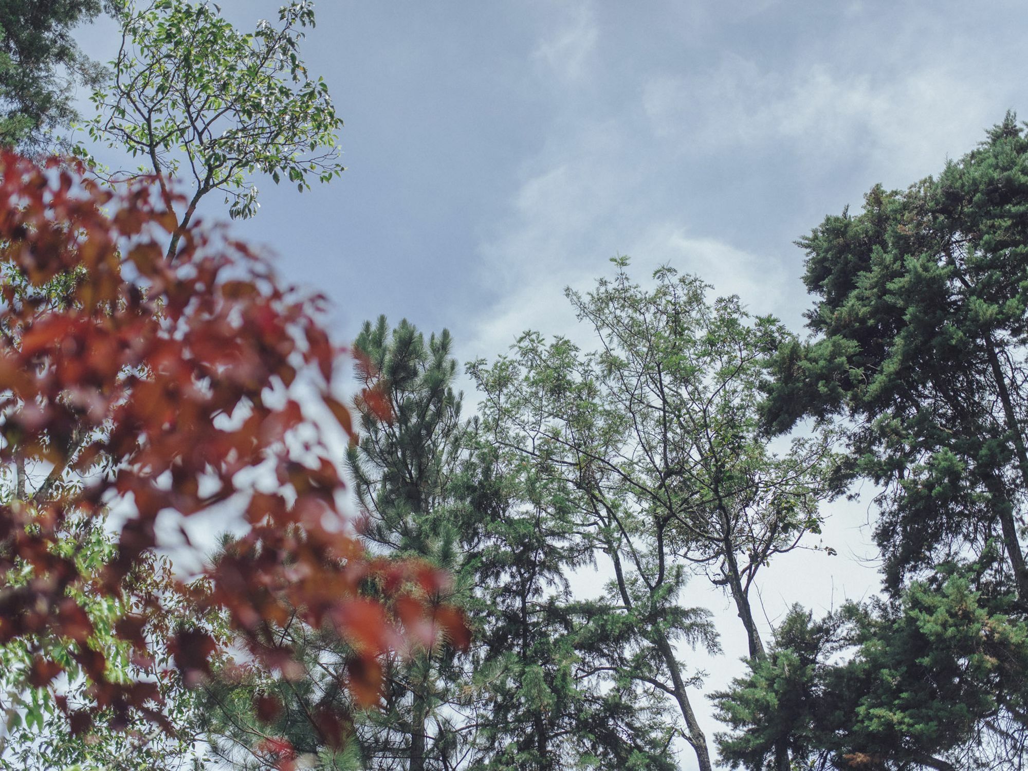 Villa Republic บันดาราเวลา ภายนอก รูปภาพ