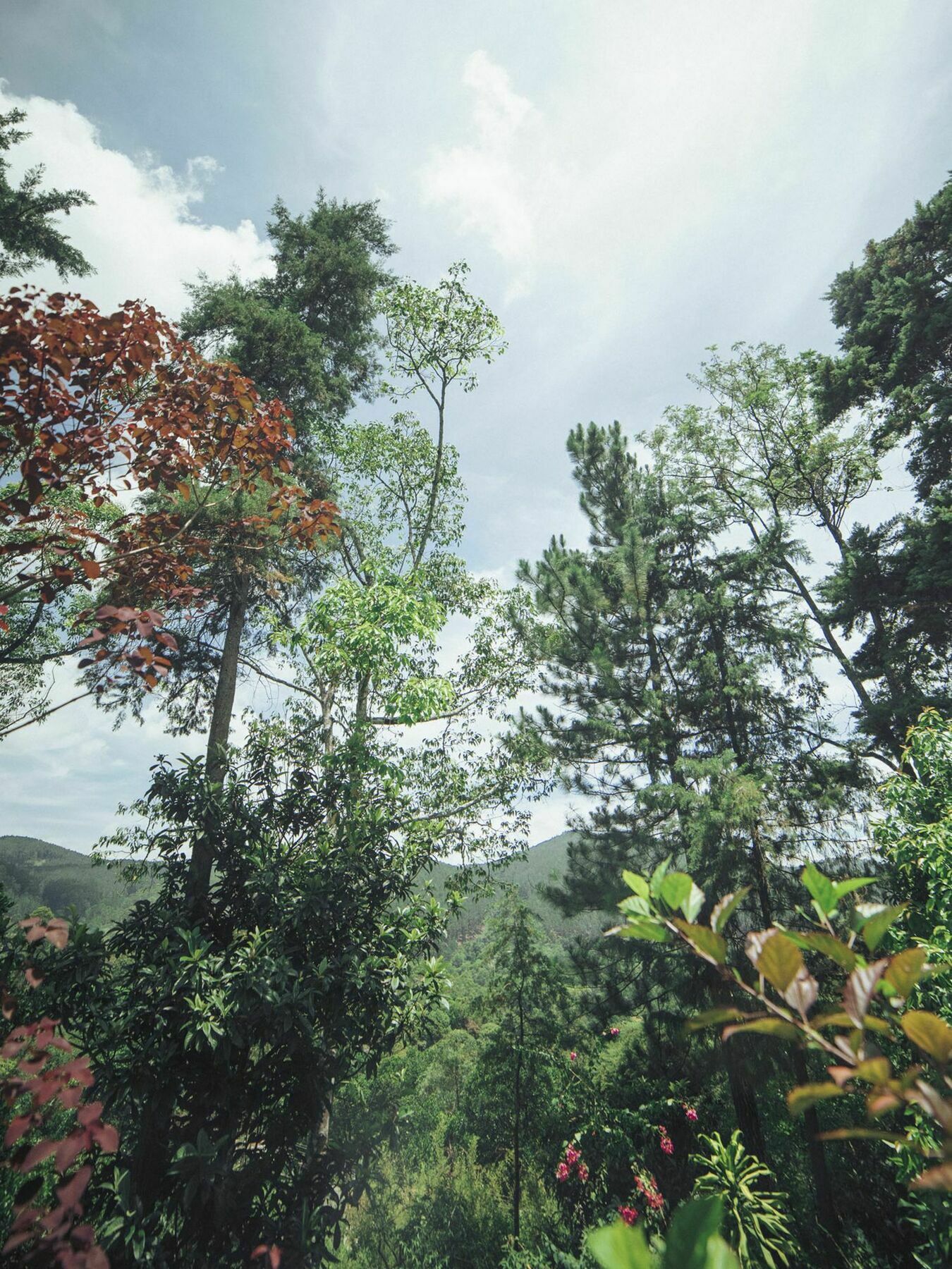 Villa Republic บันดาราเวลา ภายนอก รูปภาพ
