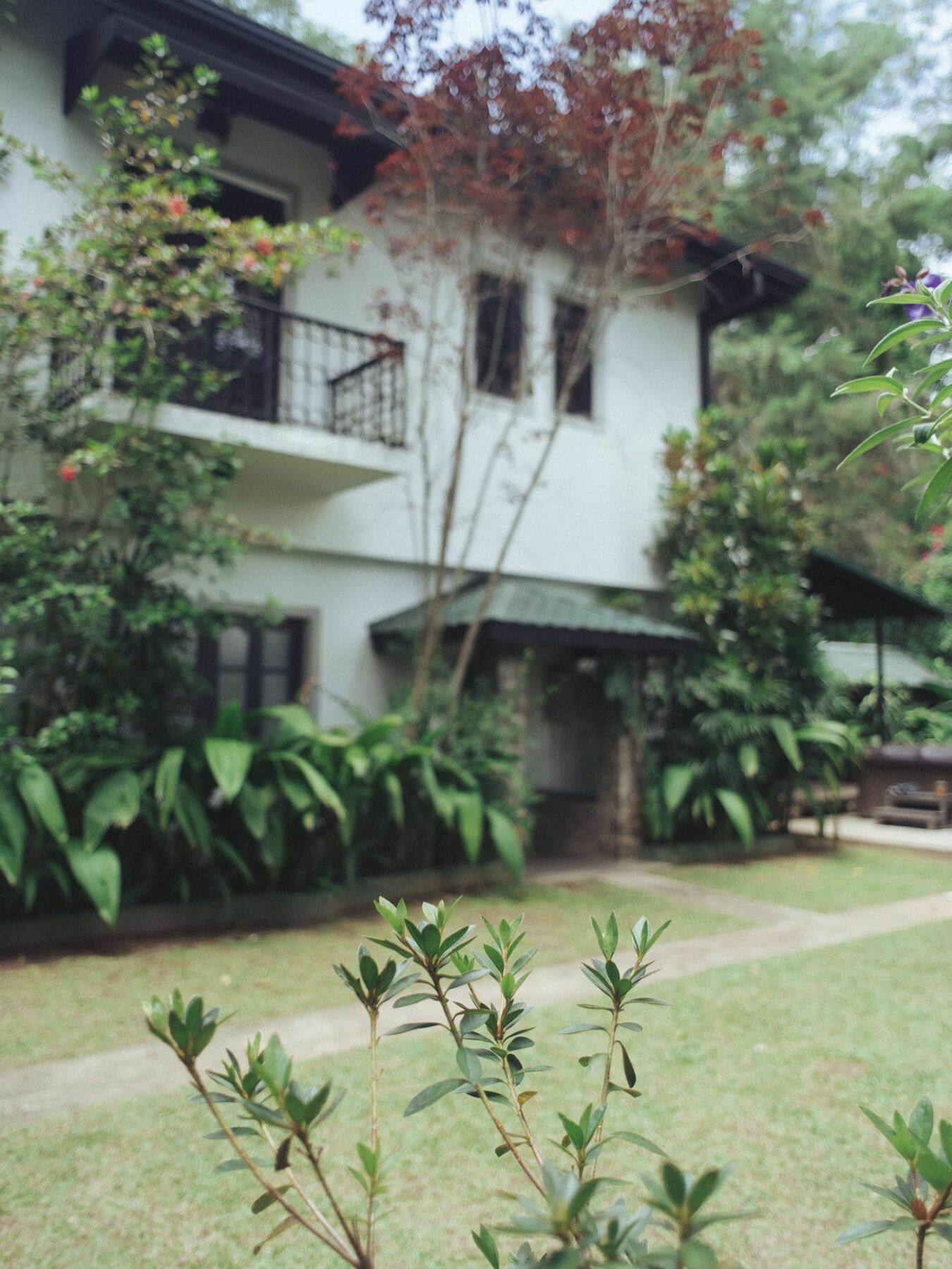 Villa Republic บันดาราเวลา ภายนอก รูปภาพ